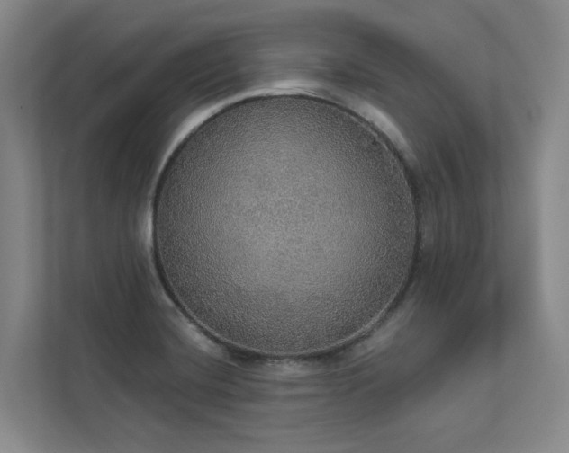 X0000112911420200908241157