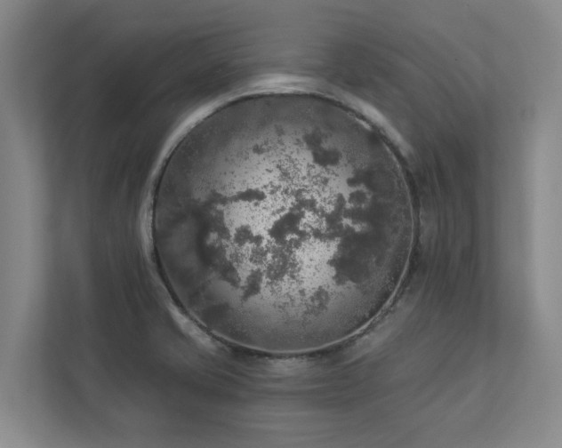 X0000112911421200908241157