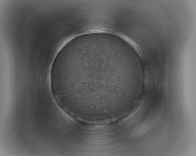 X0000112911423200908241157
