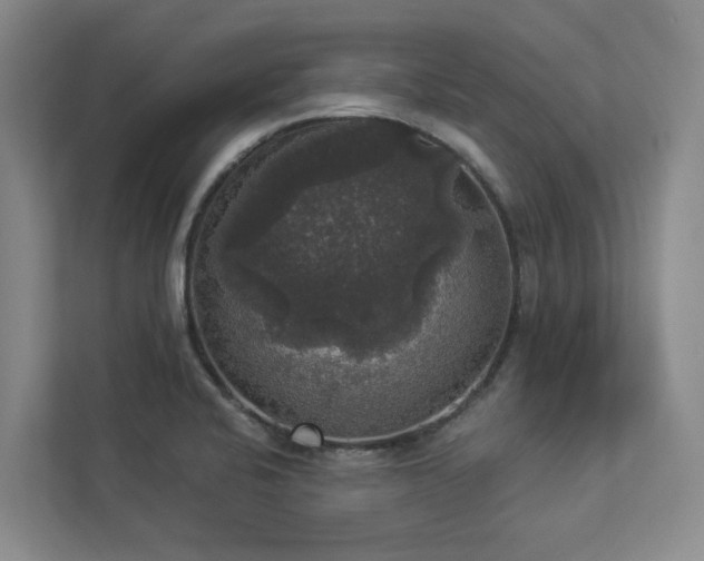 X0000112911424200908241157