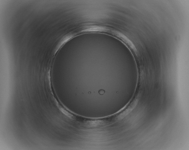 X0000112911425200908241157