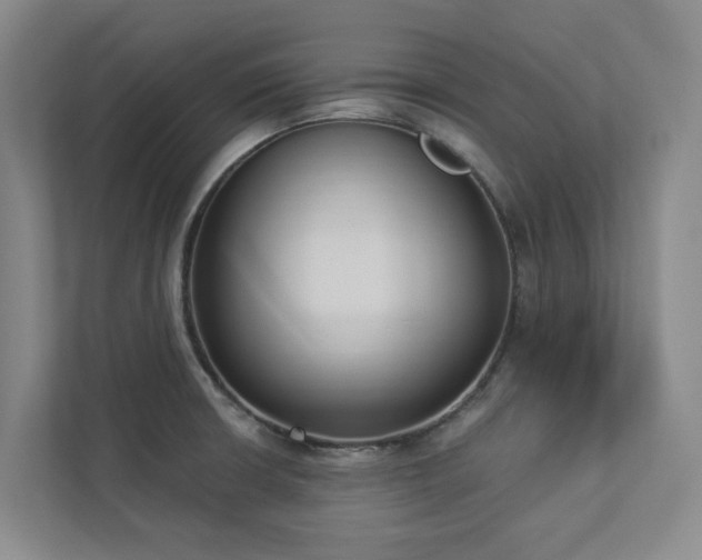X0000112911426200908241157