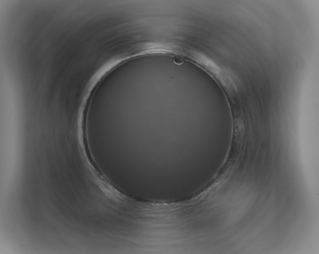 X0000112911427200908241157