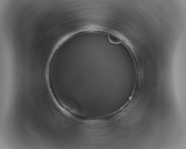 X0000112911429200908241157