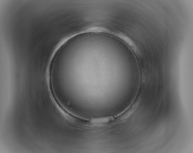 X0000112911430200908241157