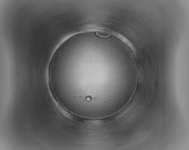 X0000112911431200908241157