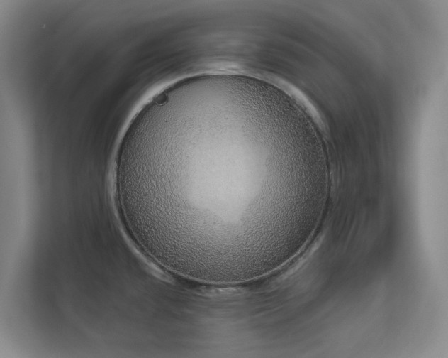 X0000112911432200908241157