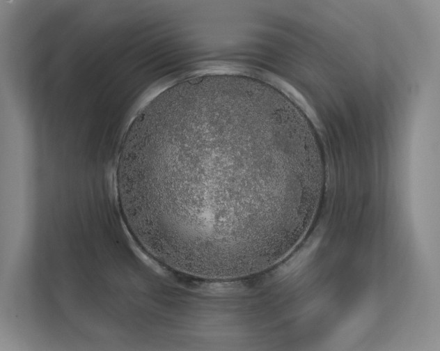 X0000112911433200908241157