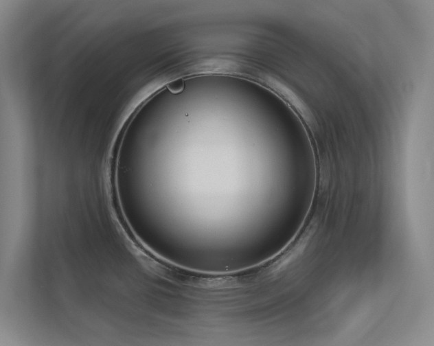 X0000112911434200908241157