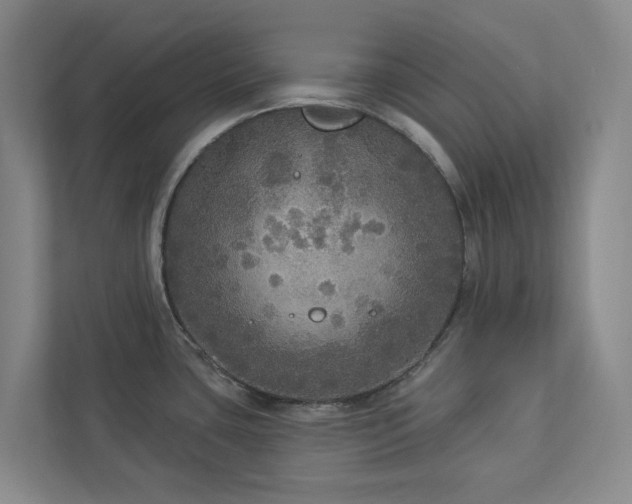 X0000112911435200908241157