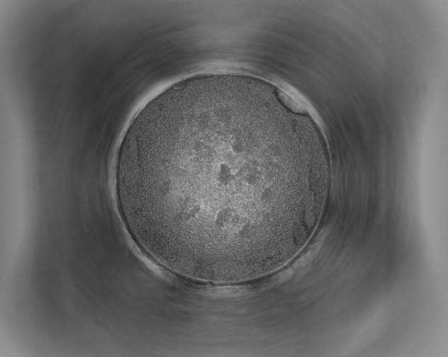 X0000112911437200908241157