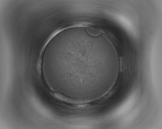 X0000112911438200908241157