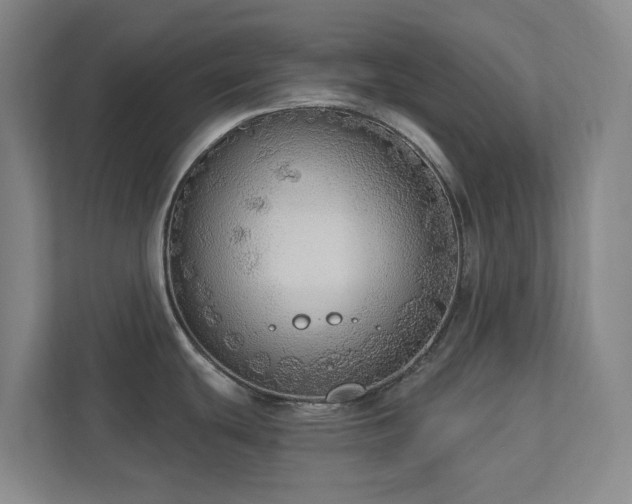 X0000112911439200908241157