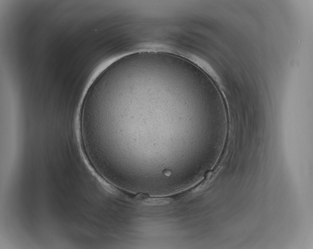 X0000112911440200908241157