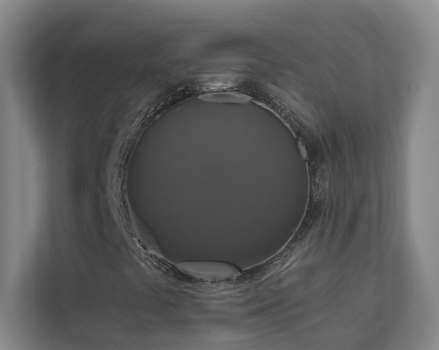 X0000112911441200908241156