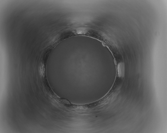 X0000112911443200908241156