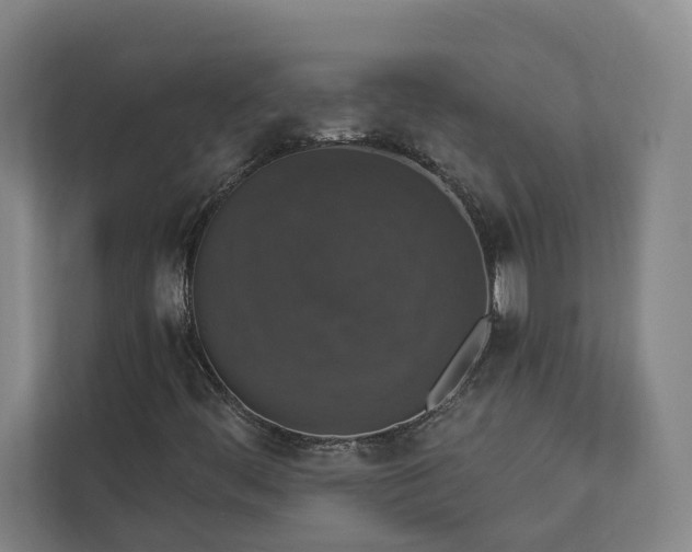X0000112911444200908241156