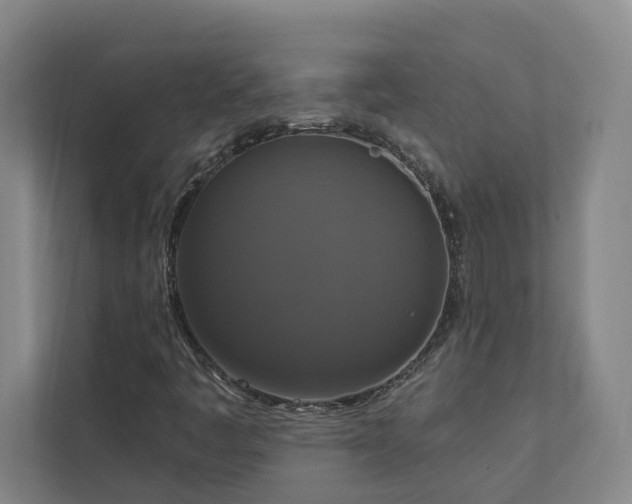 X0000112911445200908241156