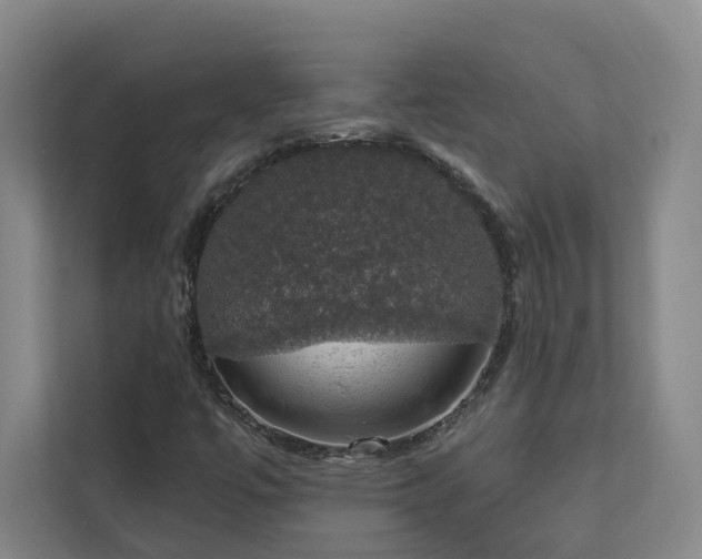X0000112911447200908241156