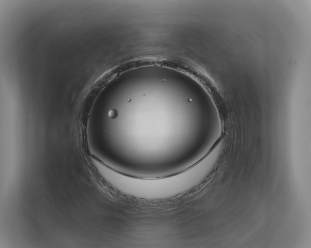 X0000112911448200908241156