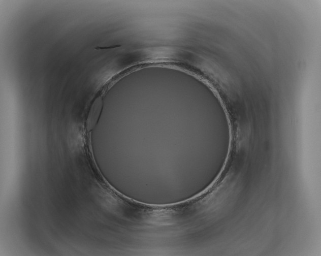 X0000112911449200908241156