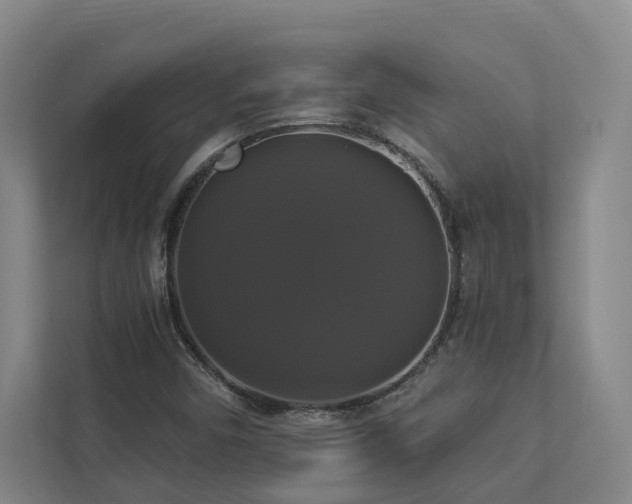 X0000112911450200908241156