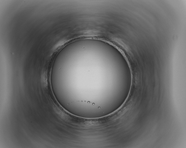 X0000112911451200908241156