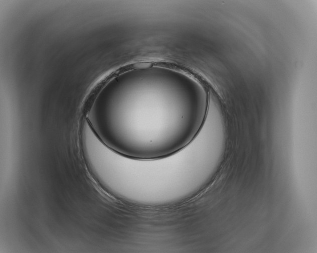 X0000112911452200908241156