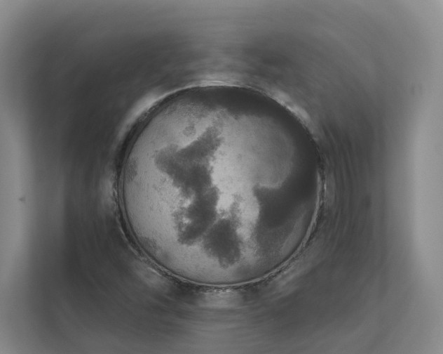 X0000112911454200908241156