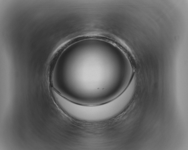 X0000112911456200908241156