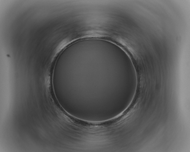 X0000112911459200908241156