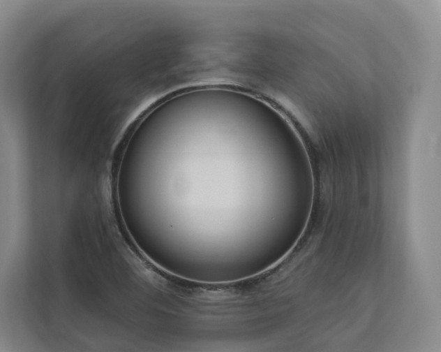 X0000112911460200908241156
