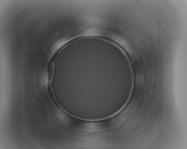 X0000112911461200908241156