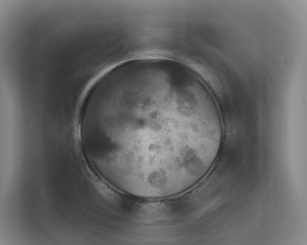 X0000112911462200908241156