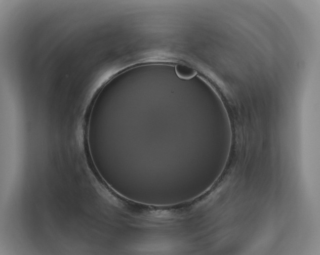 X0000112911463200908241156