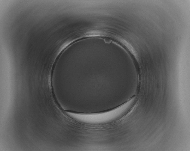 X0000112911465200908241156