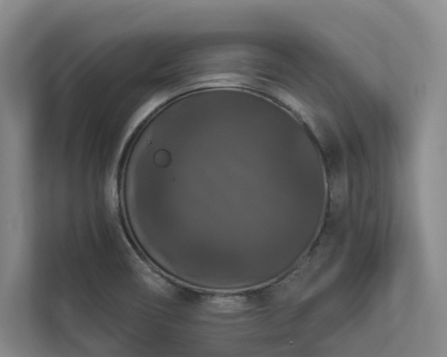 X0000112911466200908241156