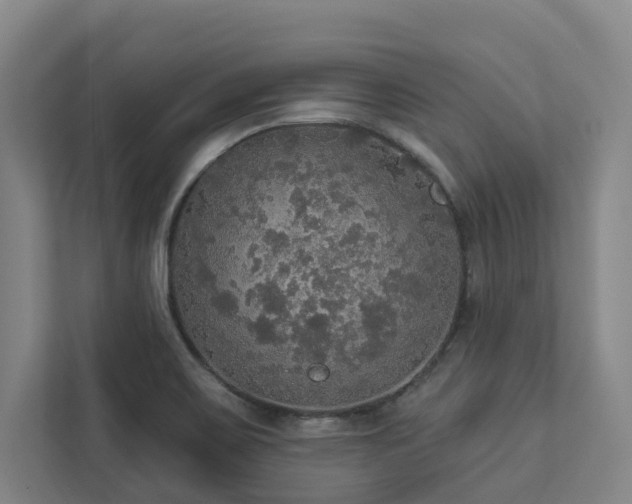 X0000112911467200908241156