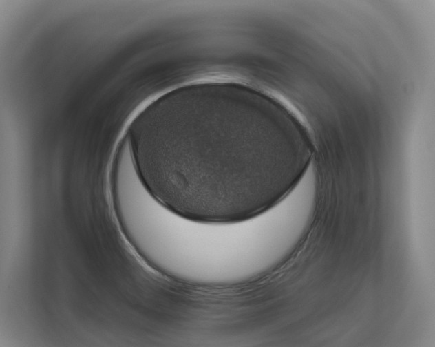 X0000112911468200908241156
