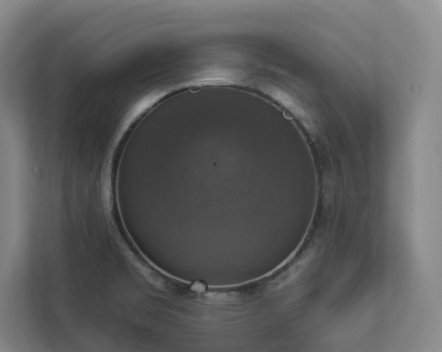 X0000112911469200908241156