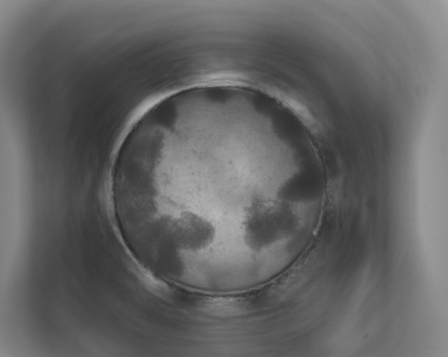 X0000112911470200908241156
