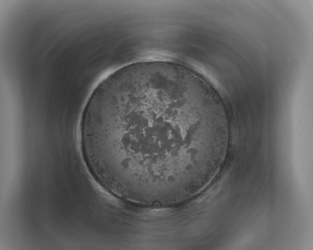 X0000112911471200908241156