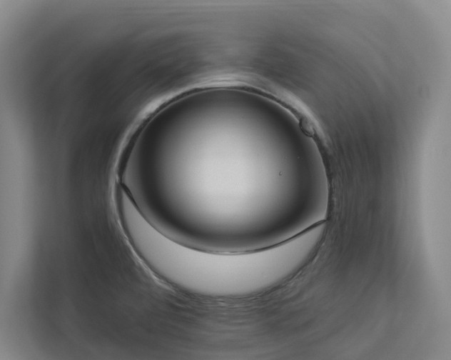 X0000112911472200908241156