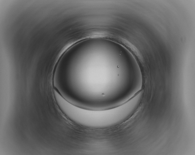 X0000112911473200908241156