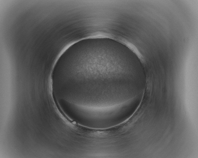 X0000112911476200908241156