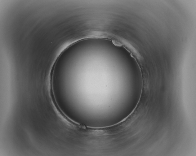 X0000112911479200908241156