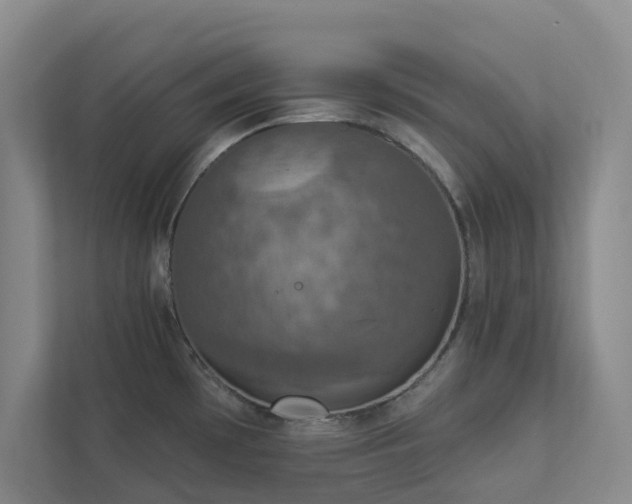 X0000112911481200908241155