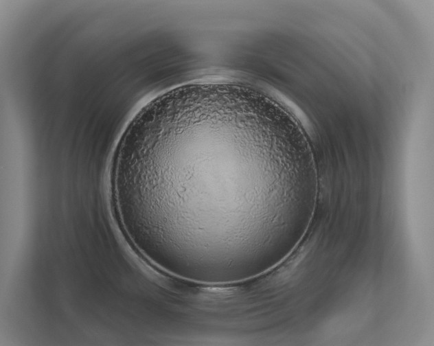 X0000112911483200908241155
