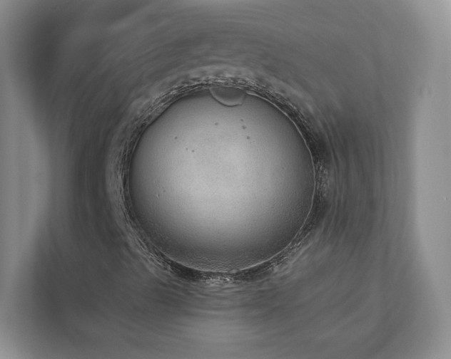 X0000112911489200908241155