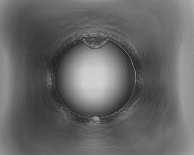 X0000112911490200908241155
